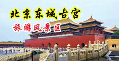 黑大屌操欧美大屄中国北京-东城古宫旅游风景区